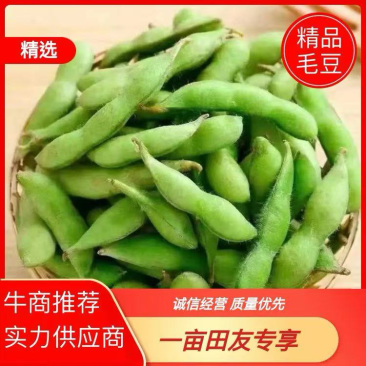 【优选】江苏南通精品毛豆产地直发货源充足