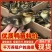 大种土鸭苗番鸭苗金定鸭苗麻鸭苗公母都有顺丰发货