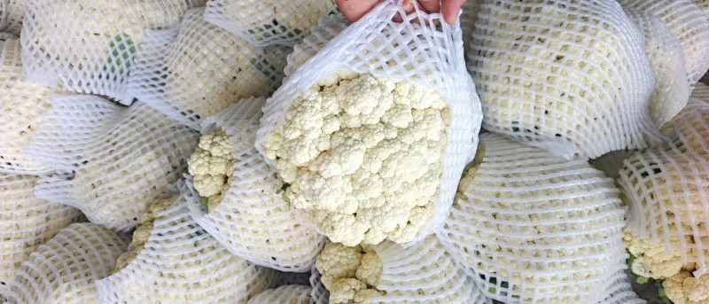 松花菜有机花菜散花菜大量上市，专业代办保质保量，供应全国