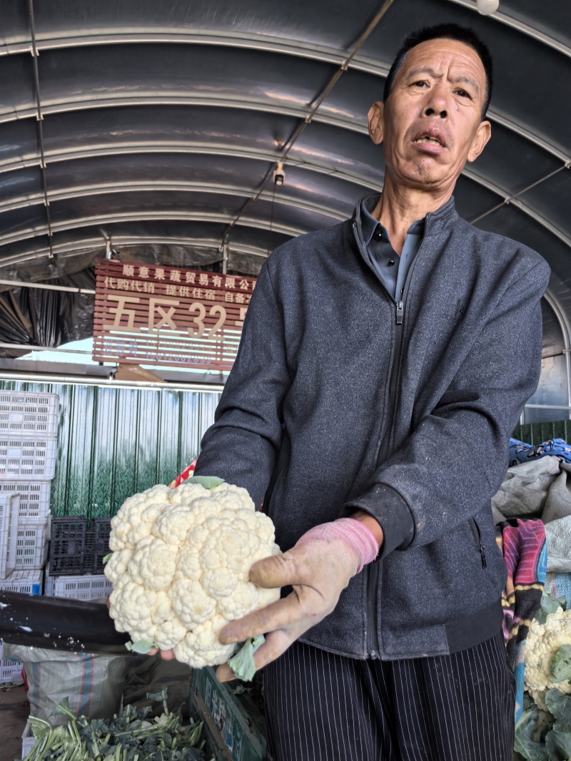 松花菜有机花菜散花菜大量上市，专业代办保质保量，供应全国