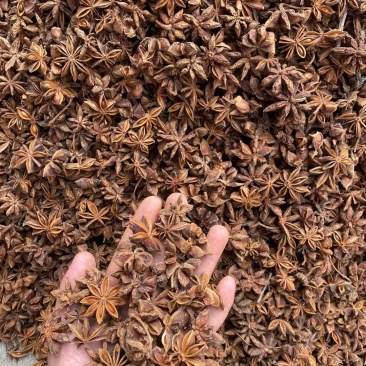 足干无硫，个子均匀，健康果
