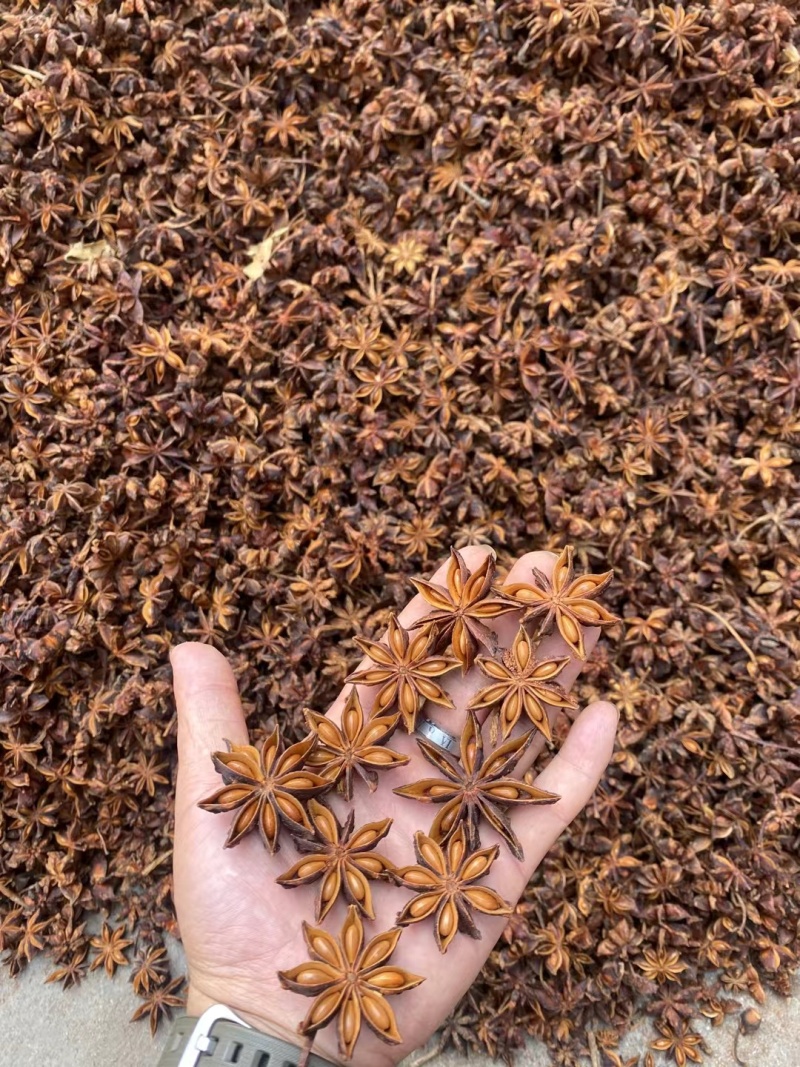 足干无硫，个子均匀，健康果