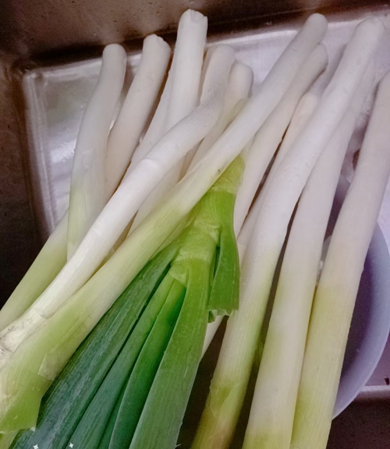 长白大葱是大葱的一种优良品种