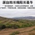 四川麦冬中药材特级野生干货麦门冬玄参玉竹泡水正品