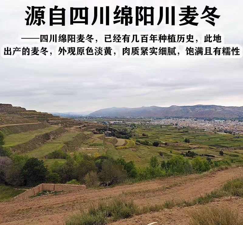 四川麦冬中药材特级野生干货麦门冬玄参玉竹泡水正品