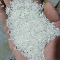 2024年丰两优食用大米