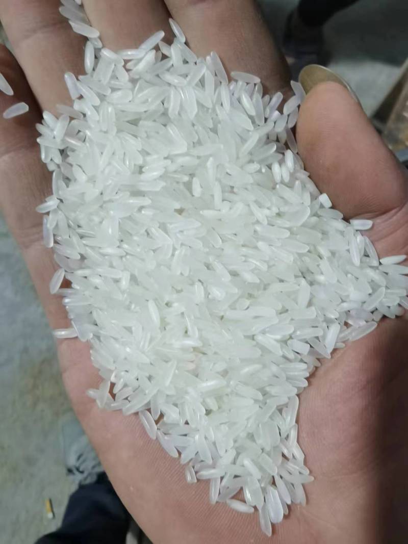2024年丰两优食用大米