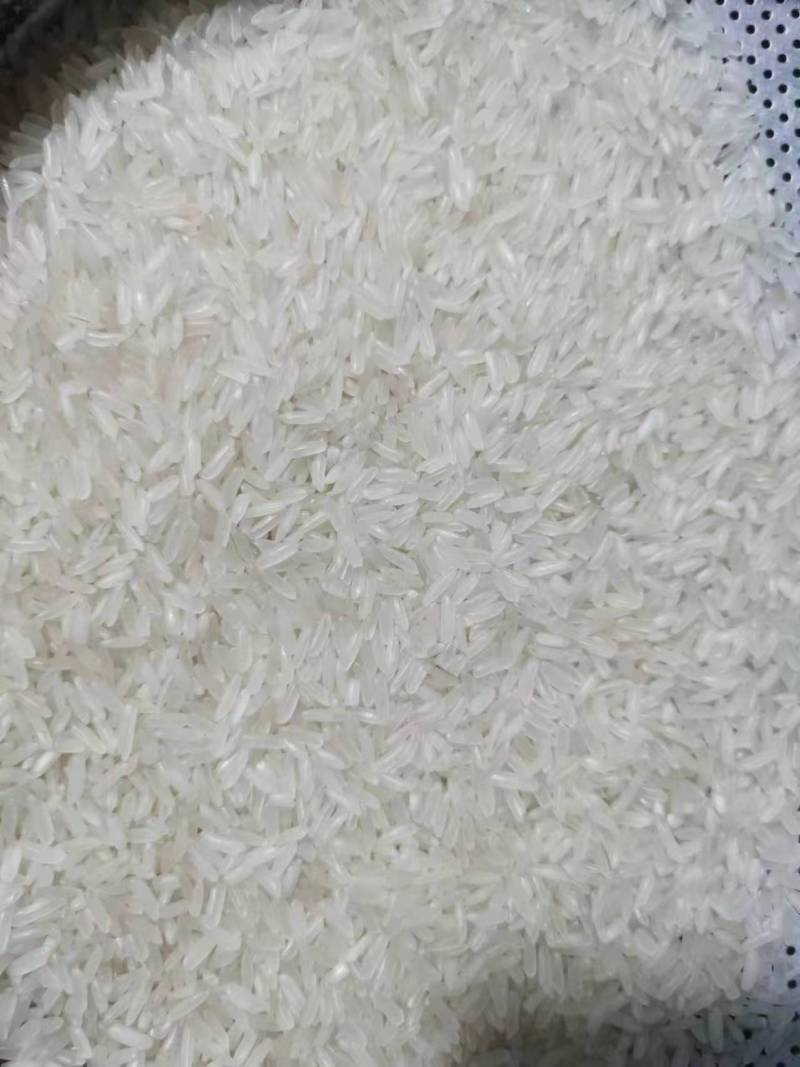 2024年丰两优食用大米