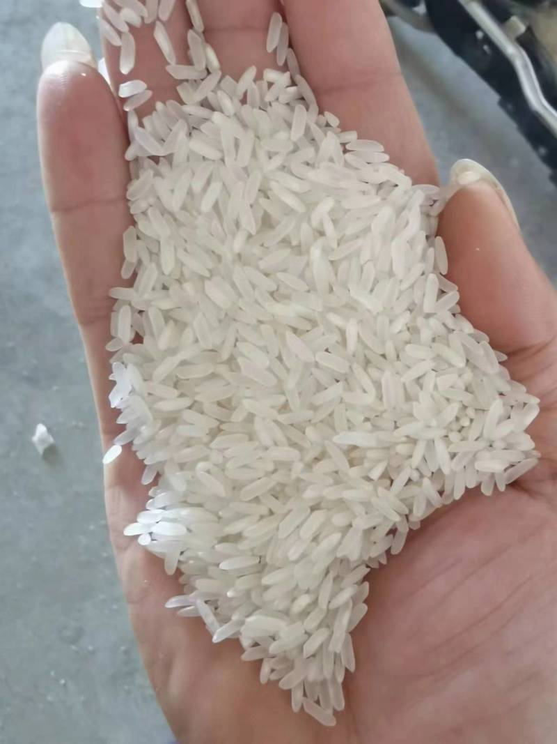 2024年丰两优食用大米