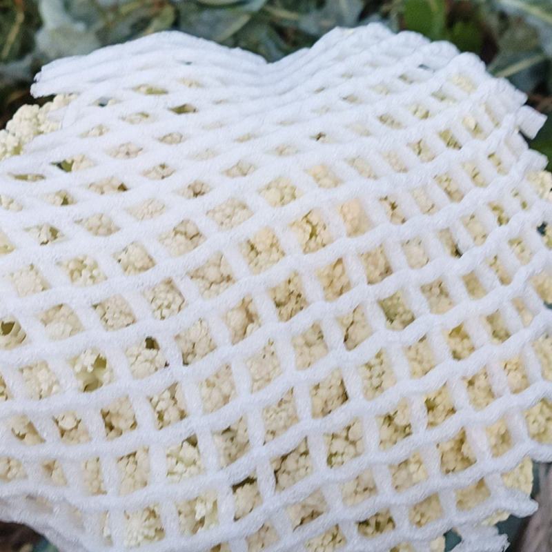 精品松花菜