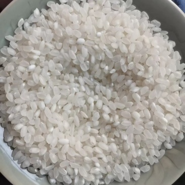 2024年食用大米