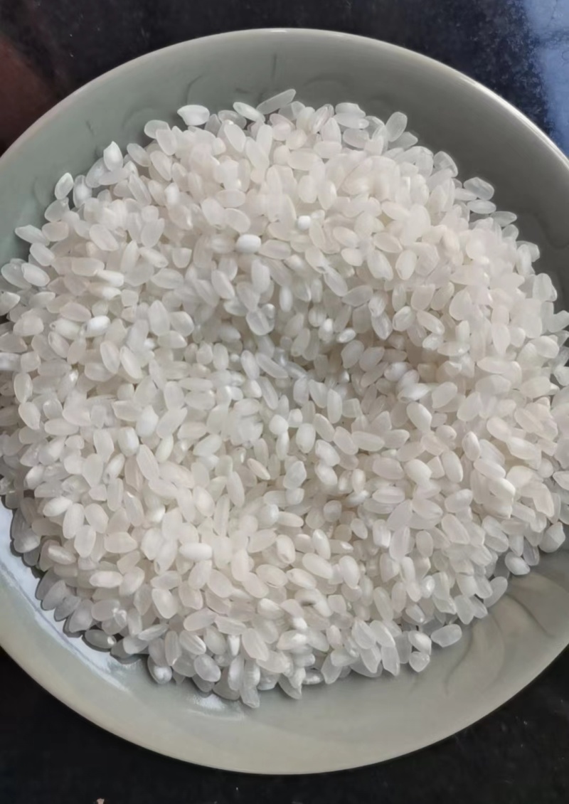 2024年食用大米