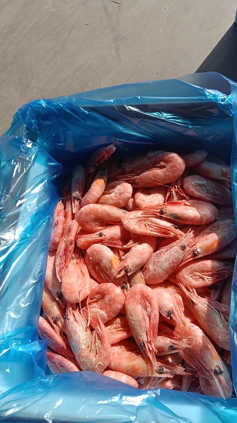 北极虾，货量充足，规格全。品质很好，常年有货，欢迎咨询