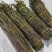 石斛鲜条铁皮石斛鲜条石斛石斛批发