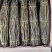 石斛鲜条铁皮石斛鲜条石斛石斛批发