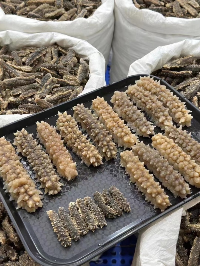 海参刺参刺王参精品原色刺参淡干海参黑刺参亨有盛誉六排刺