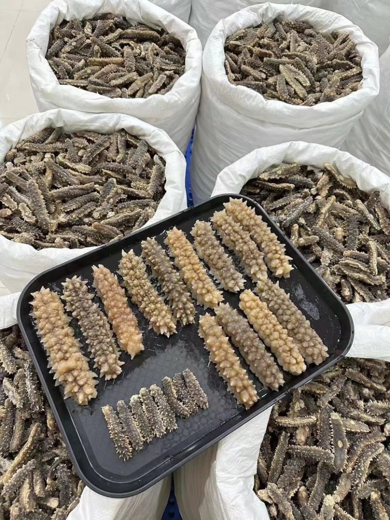 海参刺参刺王参精品原色刺参淡干海参黑刺参亨有盛誉六排刺