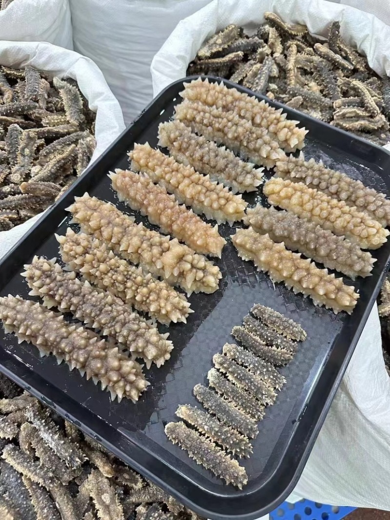 海参刺参刺王参精品原色刺参淡干海参黑刺参亨有盛誉六排刺