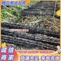 广东精品黑皮甘蔗大量上市，产地一手货源，价格可谈电话联