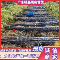 广东甘蔗黑皮甘蔗产地直供量大从优全国发货品质保证