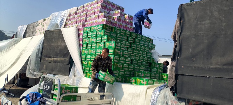 新疆库尔勒香梨批发大量有货，产地直采量大从优