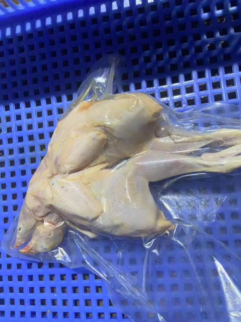 鹧鸪适合供应商一手货源