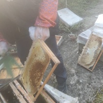 绵阳土蜂蜜，纯正天然，新鲜上市