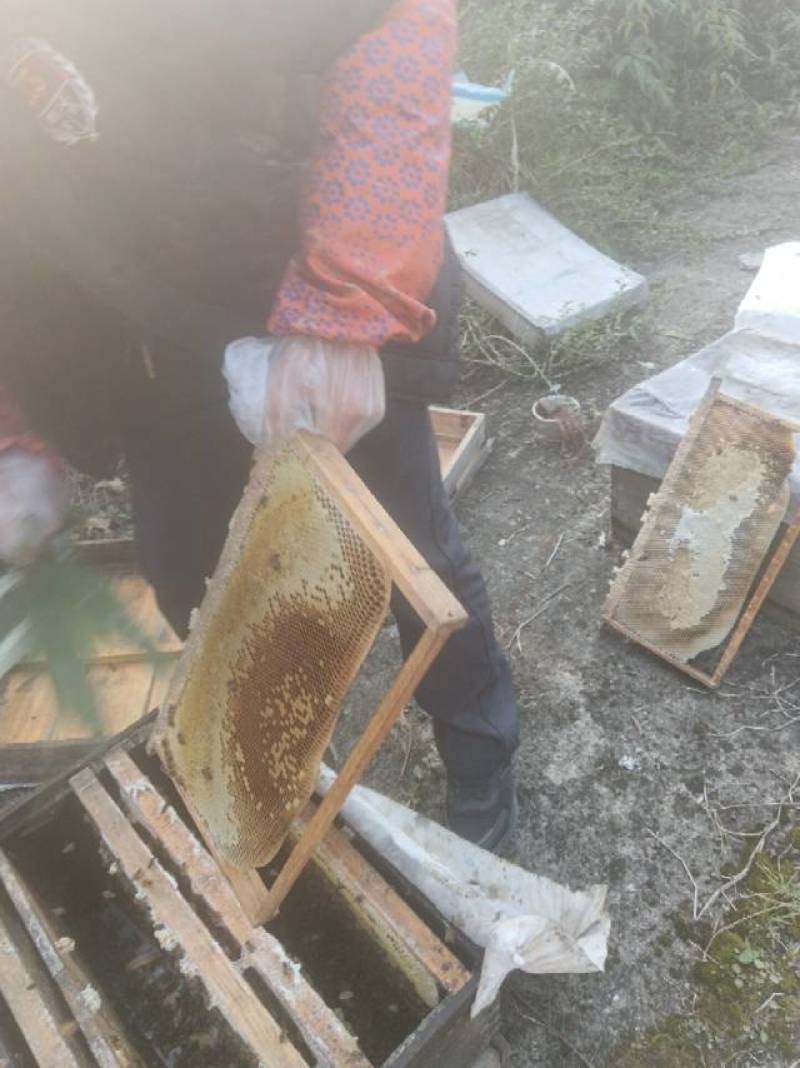 绵阳土蜂蜜，纯正天然，新鲜上市