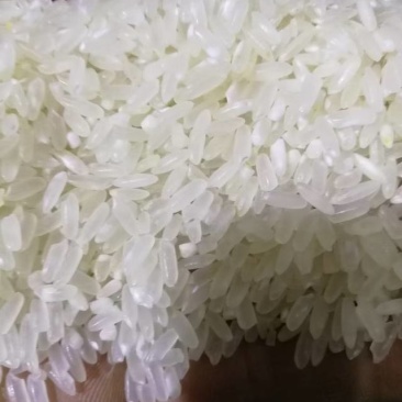 新鲜稻花香，田园风味直供，健康美味，**特惠！