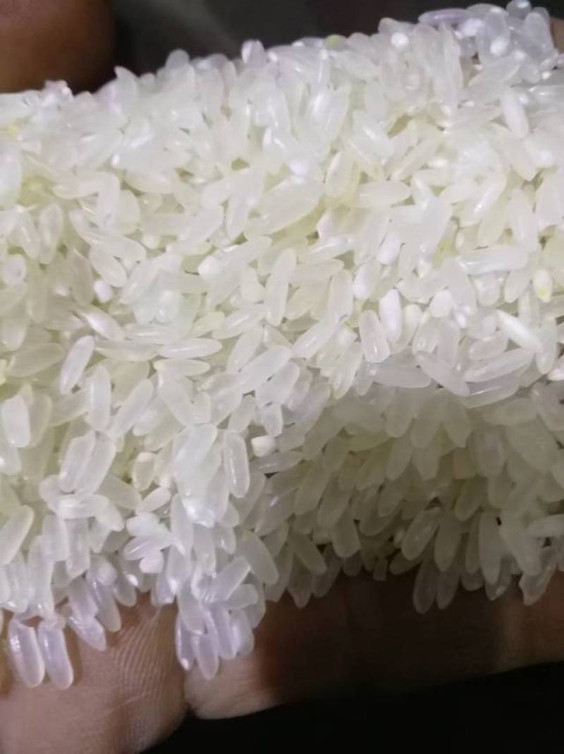 新鲜稻花香，田园风味直供，健康美味，**特惠！
