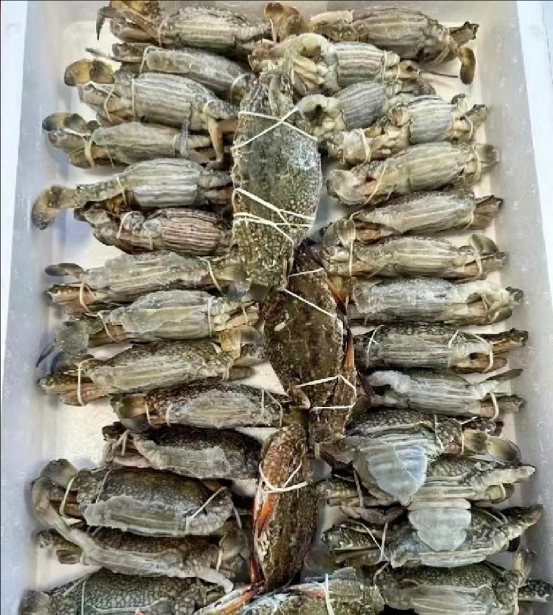 北海活冻螃蟹