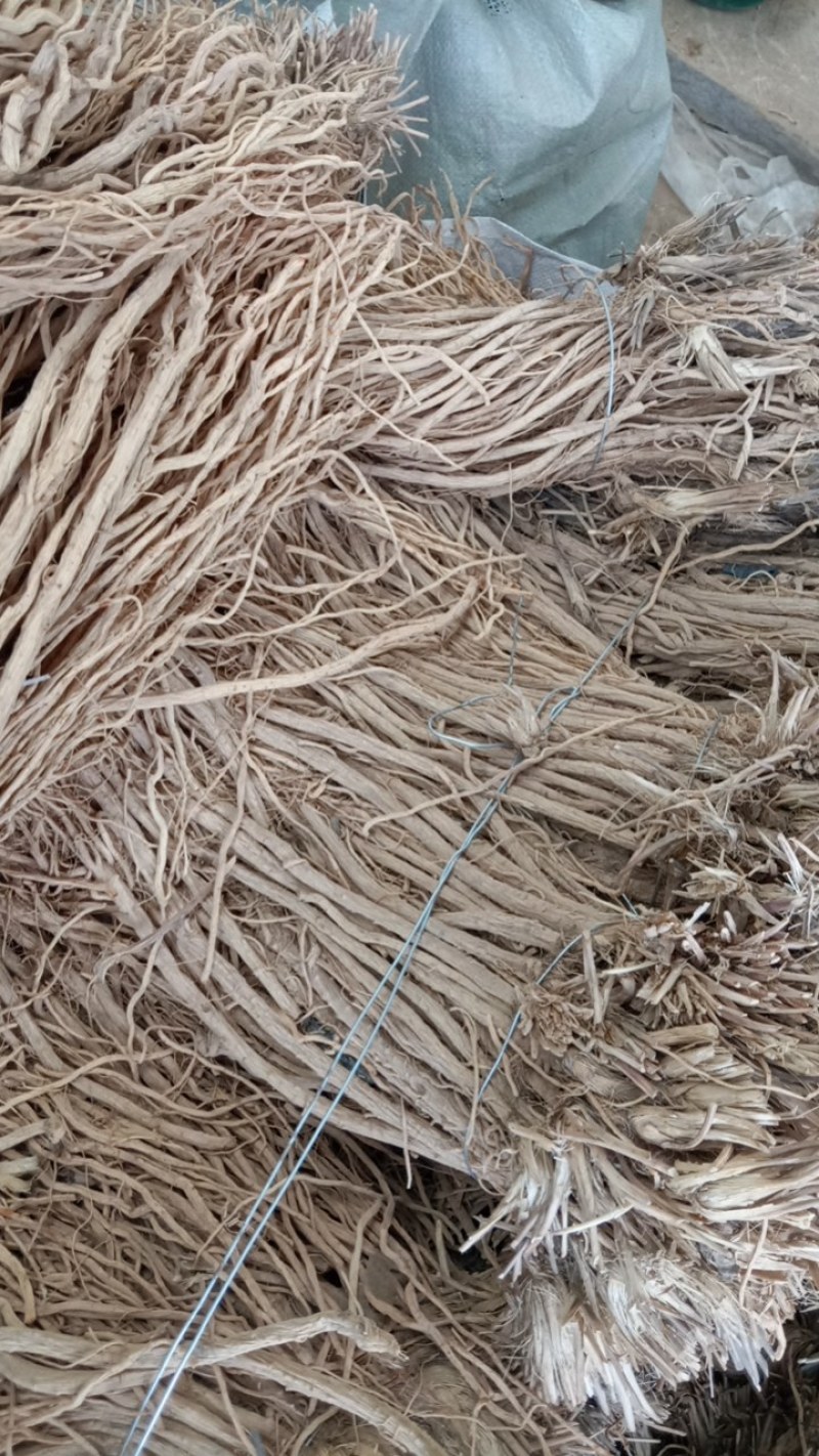 关防风。正在加工中，去头剪尾