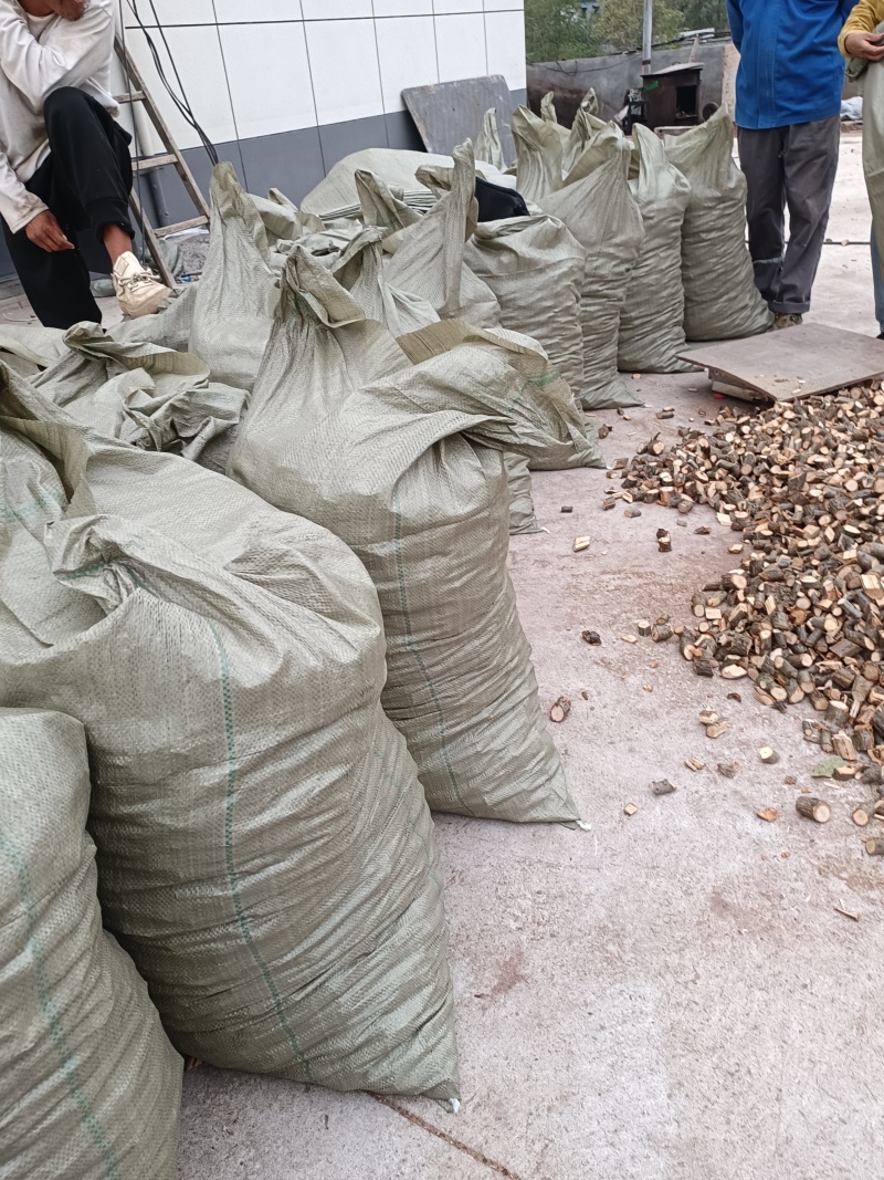 天麻蜜环菌枝条栎树枝青冈枝3公分段河南伏牛山产地供应
