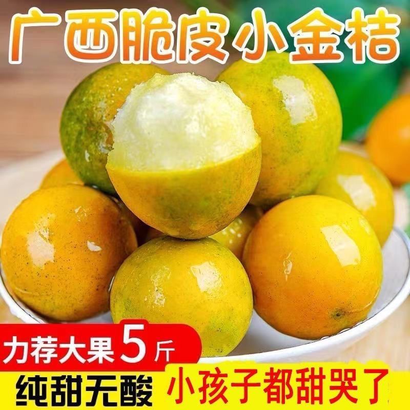 广西脆蜜金柑小金桔无籽滑皮金桔非融安桂林脆皮