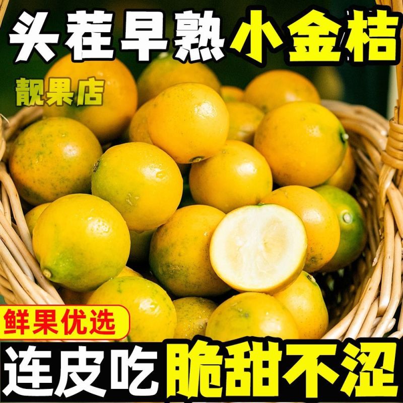 广西脆蜜金柑小金桔无籽滑皮金桔非融安桂林脆皮