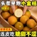广西脆蜜金柑小金桔无籽滑皮金桔非融安桂林脆皮