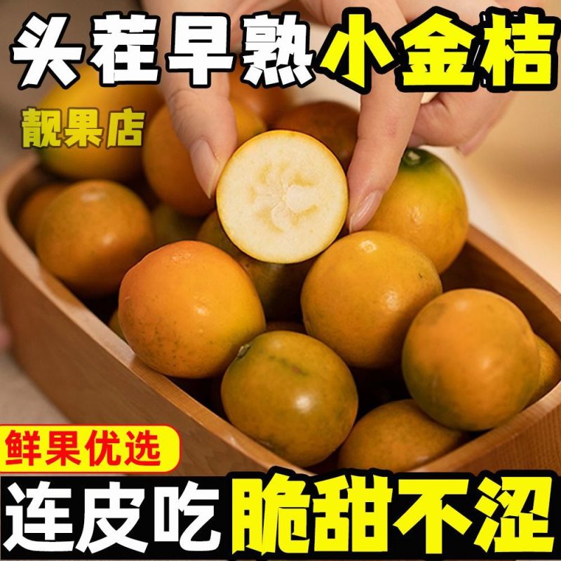 广西脆蜜金柑小金桔无籽滑皮金桔非融安桂林脆皮