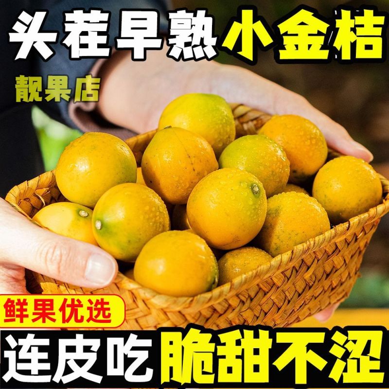 广西脆蜜金柑小金桔无籽滑皮金桔非融安桂林脆皮