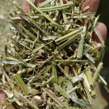 淮阳花生秧品质好质量有保证欢迎各位老板前来选购