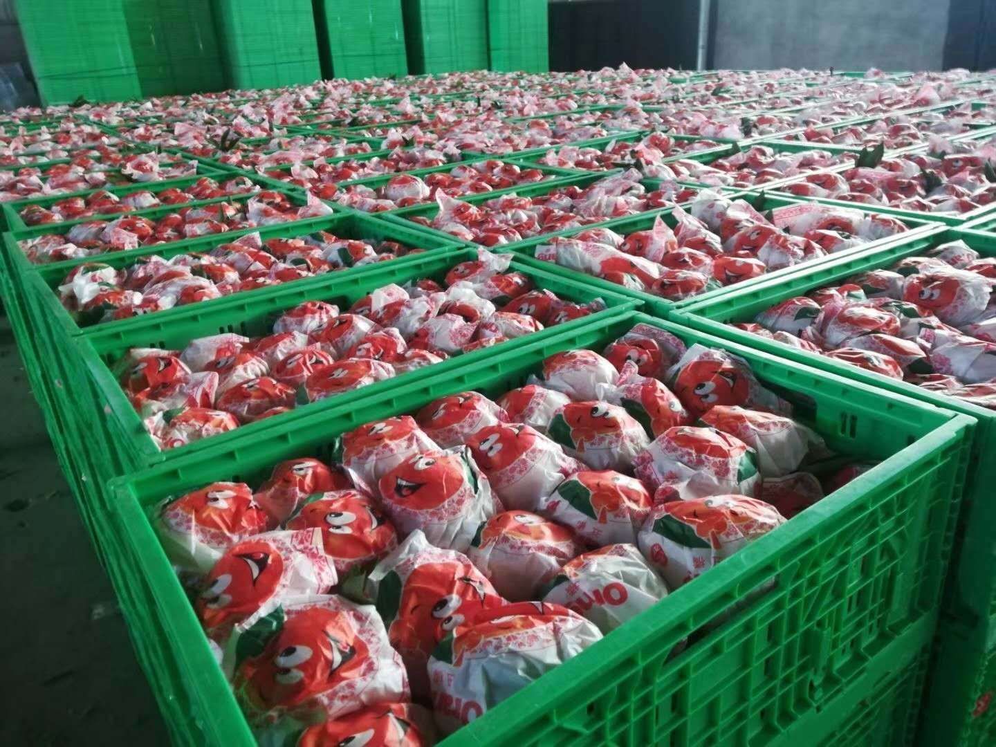 柑桔黄为主色调的果汁包装设计展示,背景简洁突出产品形象 柑桔黄主题的品牌包装设计