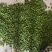 香榧坚果营养价值高零售批发产地发货一手货源全国发货