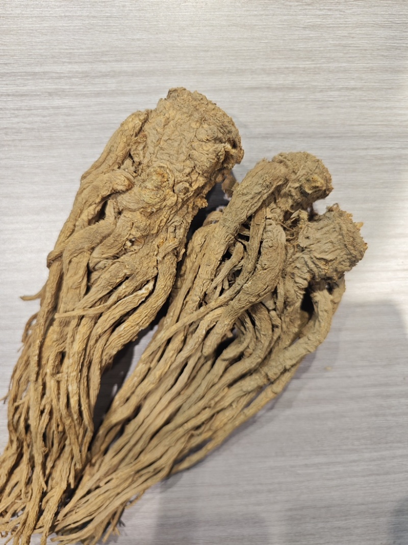 甘肃岷县当归正品整根全片中药材油足味浓无硫