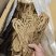 甘肃岷县当归正品整根全片中药材油足味浓无硫
