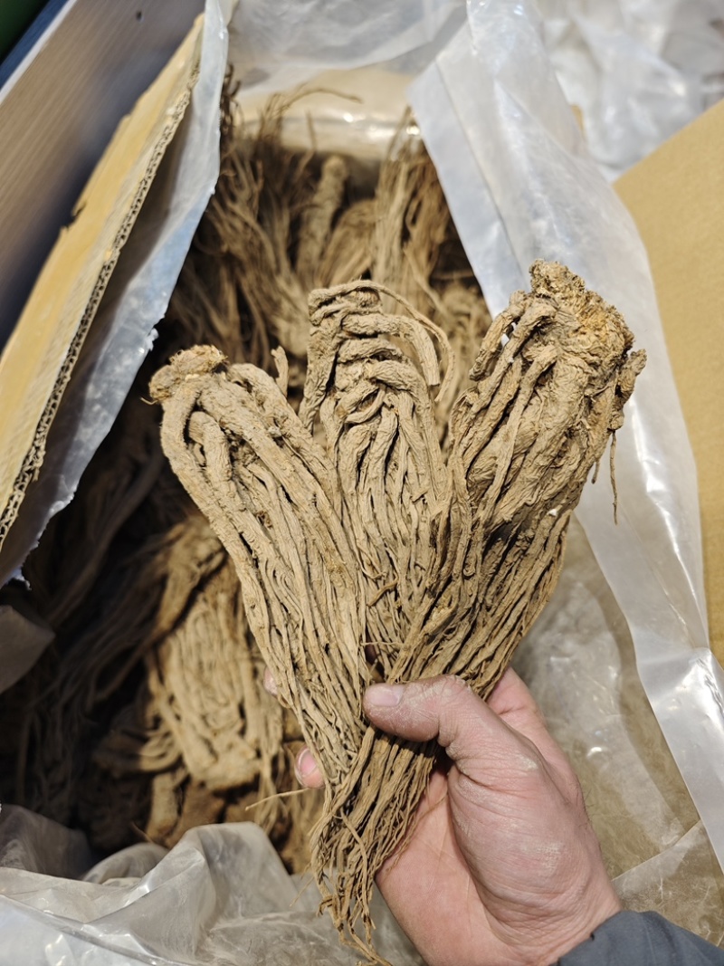 甘肃岷县当归正品整根全片中药材油足味浓无硫