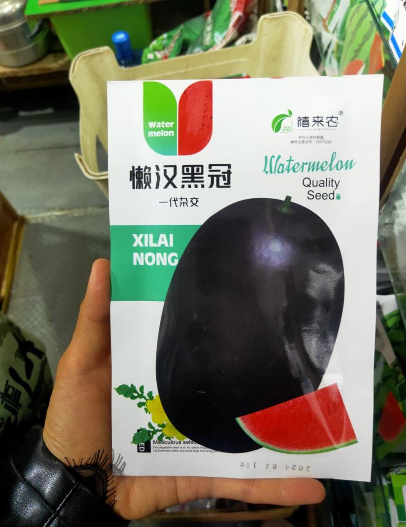 懒汉黑皮西瓜种子中早熟肉质细脆多汁籽少抗病性强耐重茬