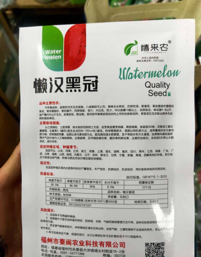 懒汉黑皮西瓜种子中早熟肉质细脆多汁籽少抗病性强耐重茬