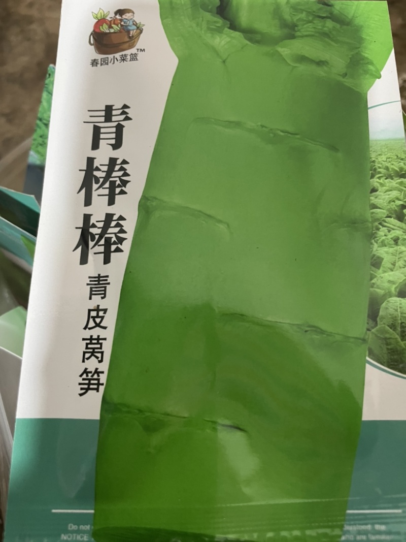 三青莴笋苗预售20天左右可栽