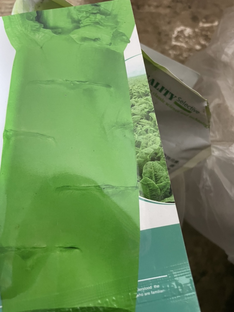 三青莴笋苗预售20天左右可栽