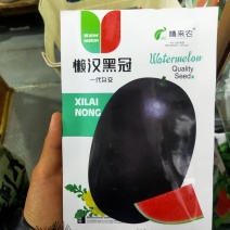 懒汉黑皮西瓜种子中早熟肉质细脆多汁籽少抗病性强耐重茬