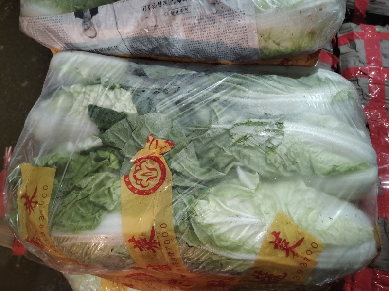 大水白，接托板车大军